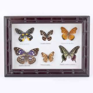 Картина бабочки под стеклом рельефная рамка 23 х 30 см