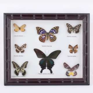 Картина бабочки под стеклом рельефная рамка 29 х 34 см